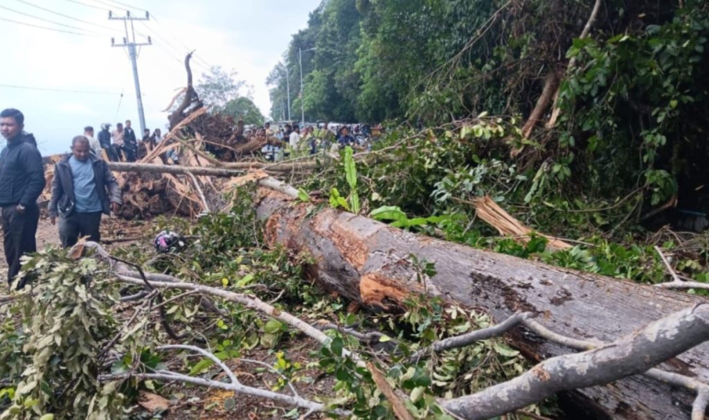 ANGIN KENCANG TERJANG ACEH SELATAN