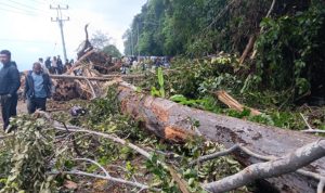 ANGIN KENCANG TERJANG ACEH SELATAN